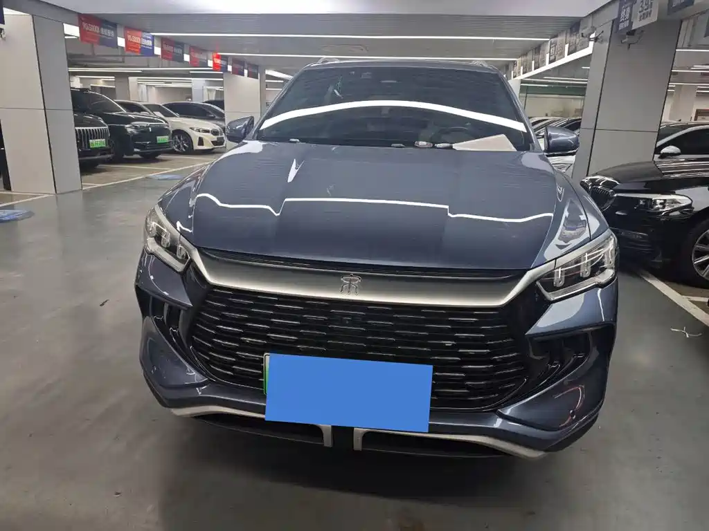 BYD Pro New Energy 2024
