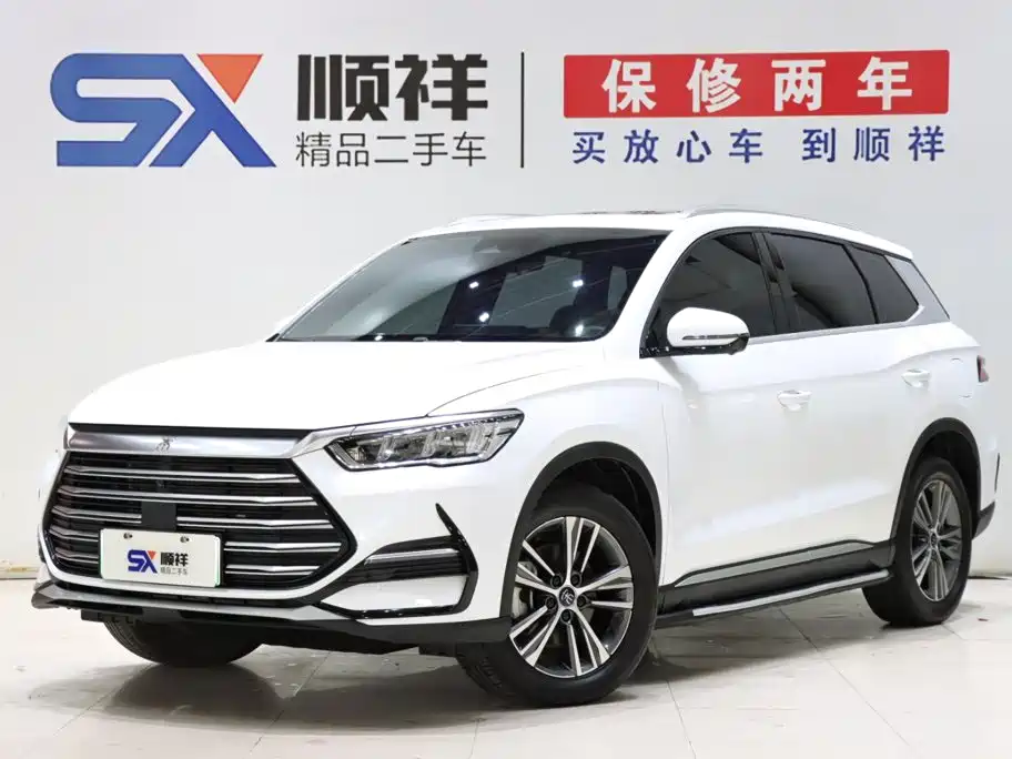 BYD Pro New Energy 2023