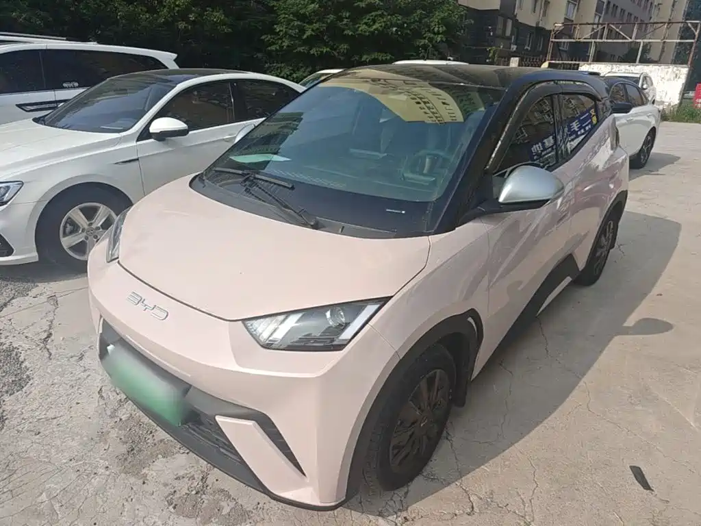 BYD Seagull 2024