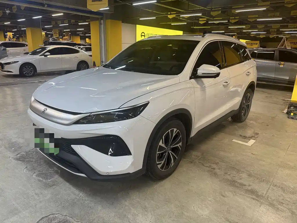 BYD Pro New Energy 2025