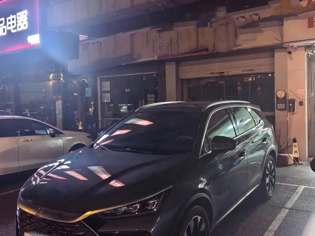 BYD Tang New Energy 2024