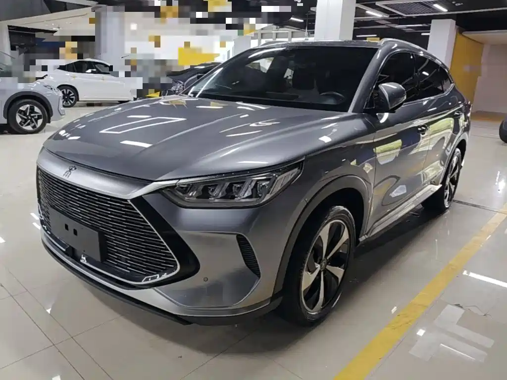 BYD PLUS New Energy 2022