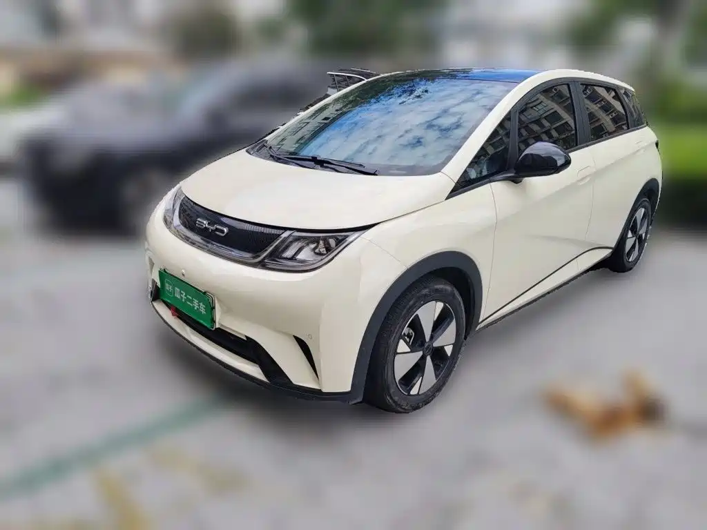 BYD Dolphin 2024