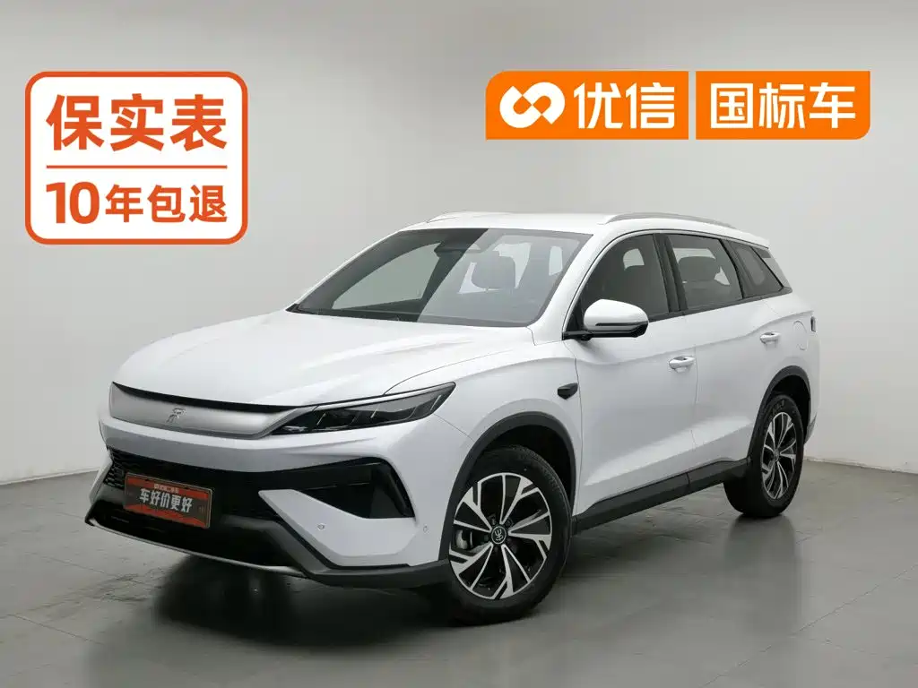 BYD Pro New Energy 2025