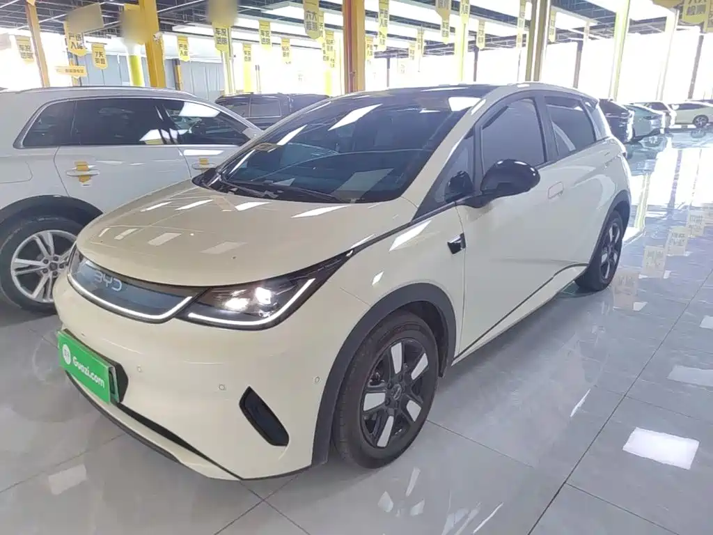 BYD Dolphin 2025