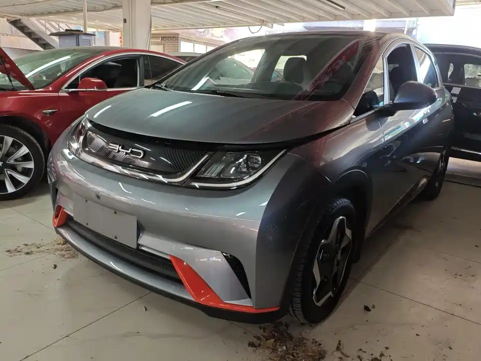BYD Dolphin 2022