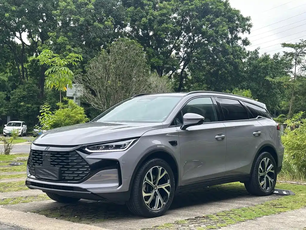 BYD Tang New Energy 2025