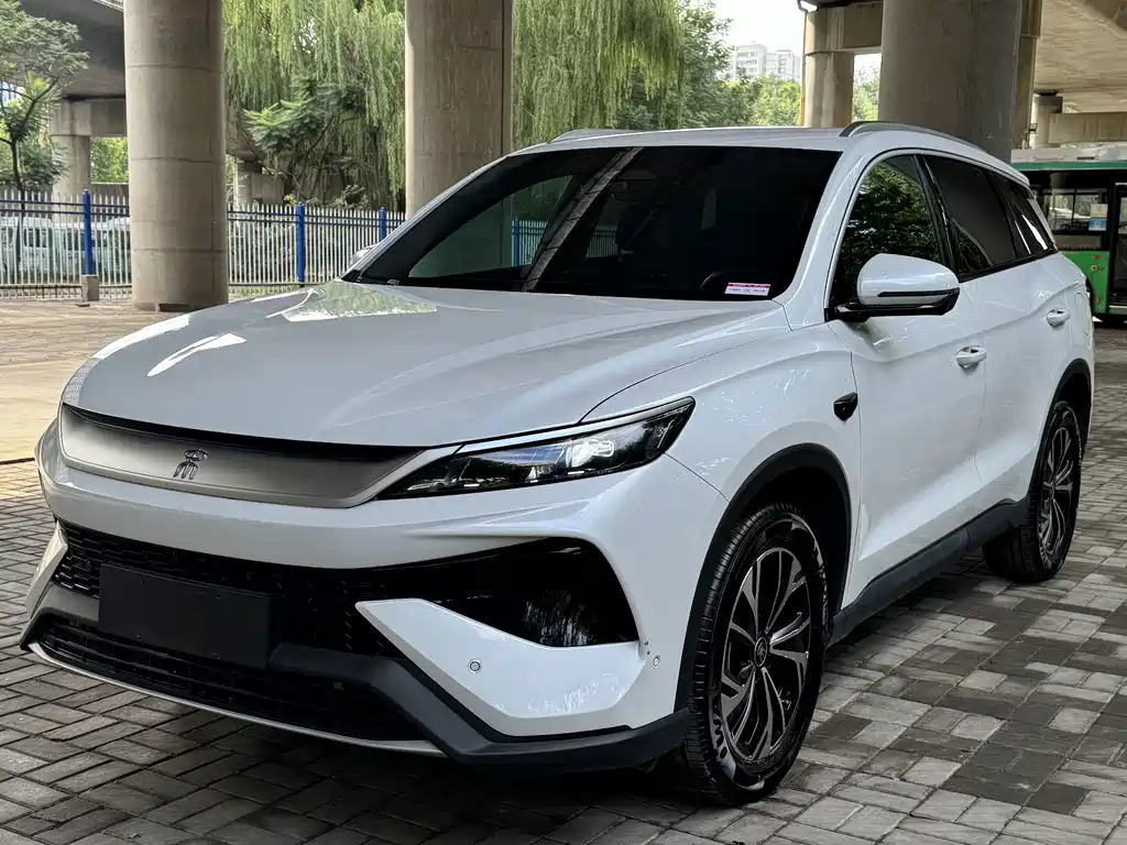BYD Pro New Energy 2025