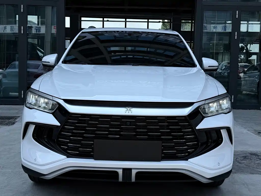 BYD Pro New Energy 2024