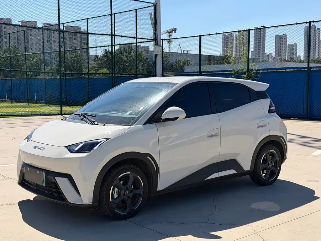 BYD Seagull 2024