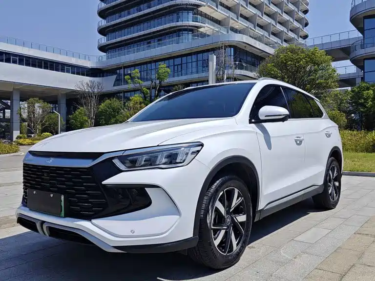 BYD Pro New Energy 2024
