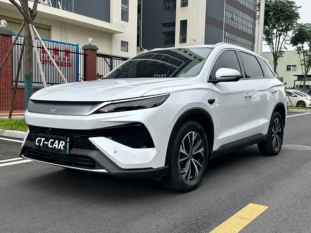 BYD Pro New Energy 2025