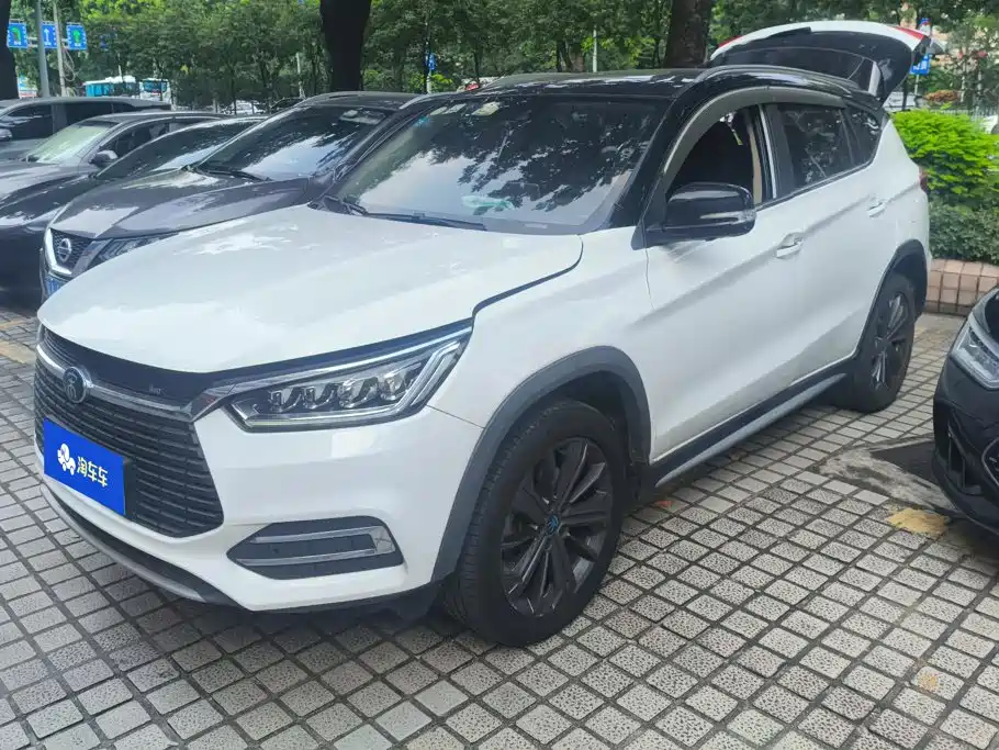 BYD New Energy 2018