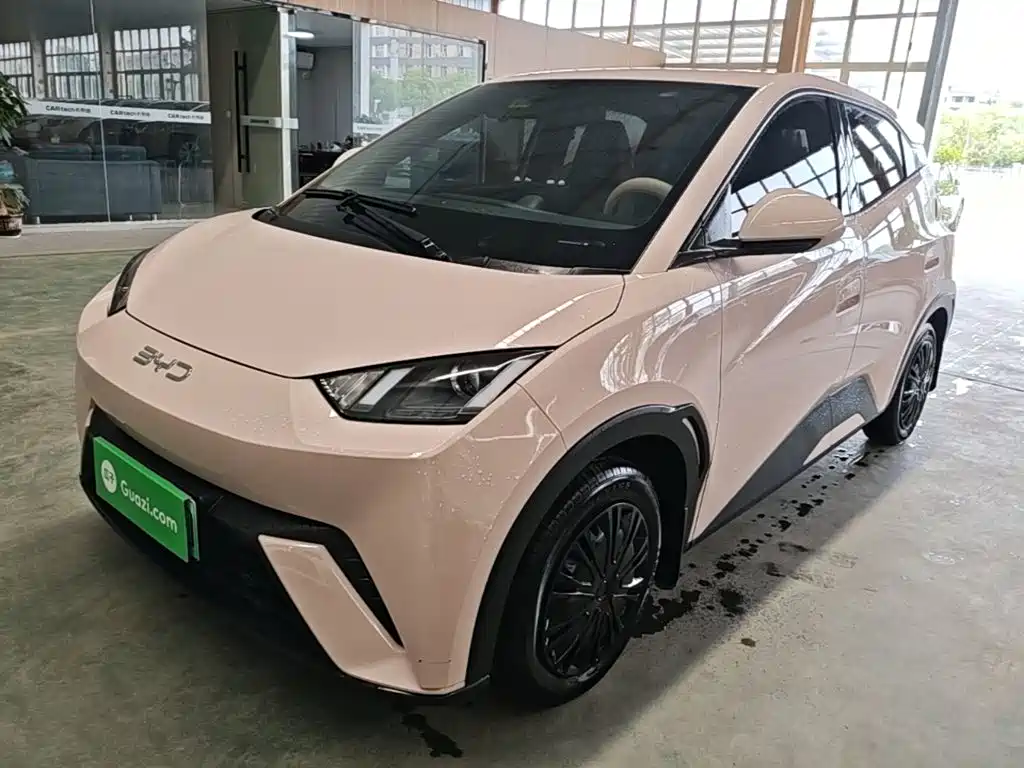 BYD Seagull 2024