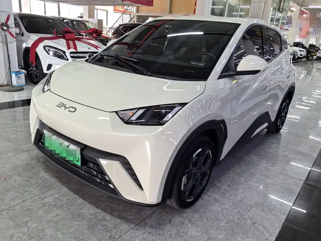 BYD Seagull 2024