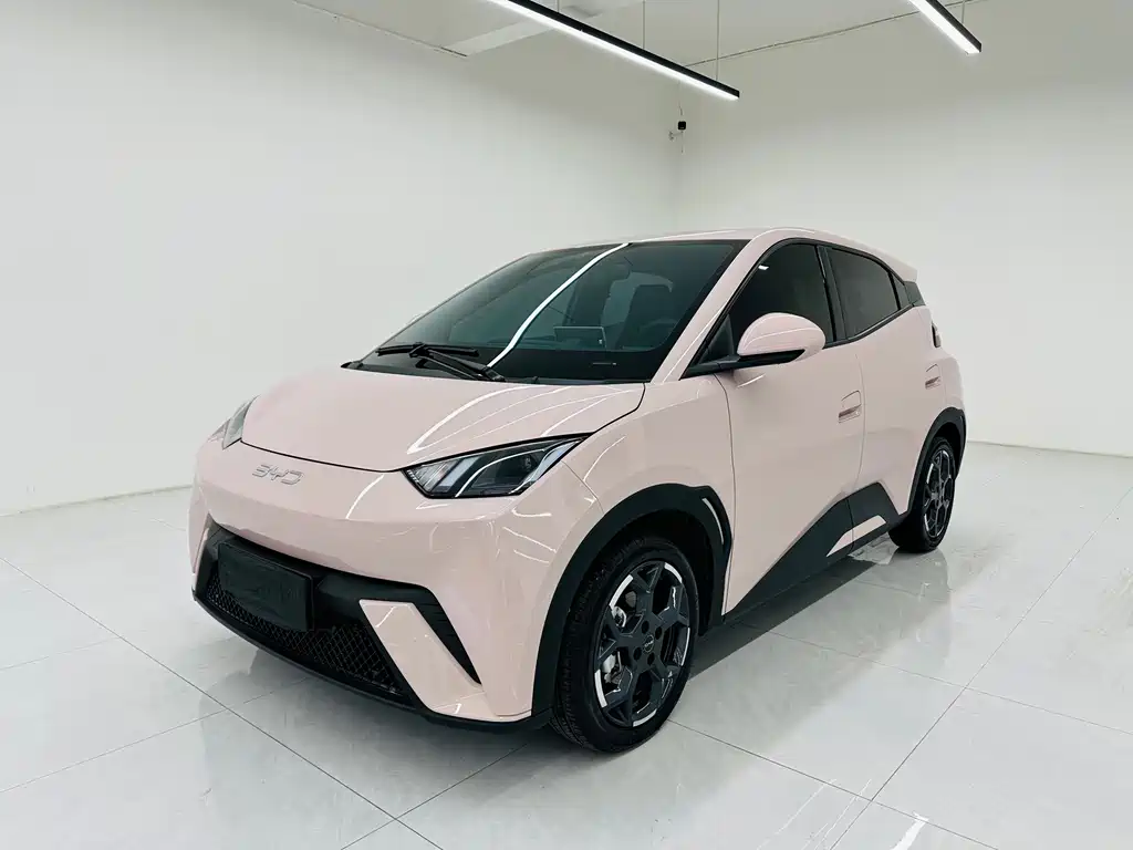 BYD Seagull 2024
