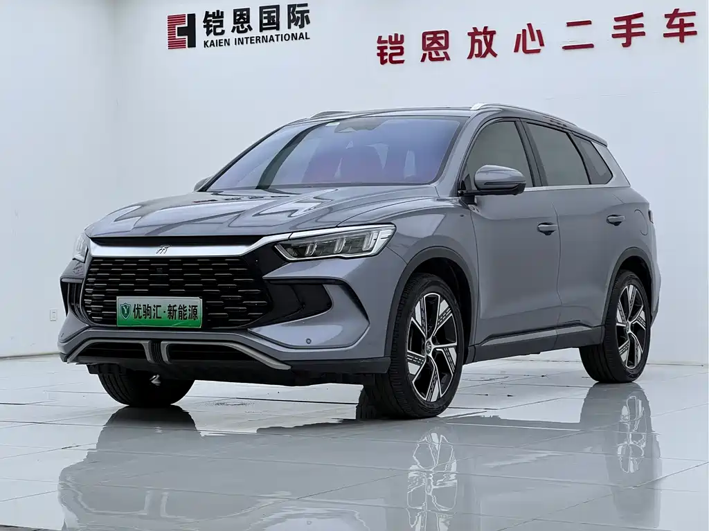 BYD Pro New Energy 2023