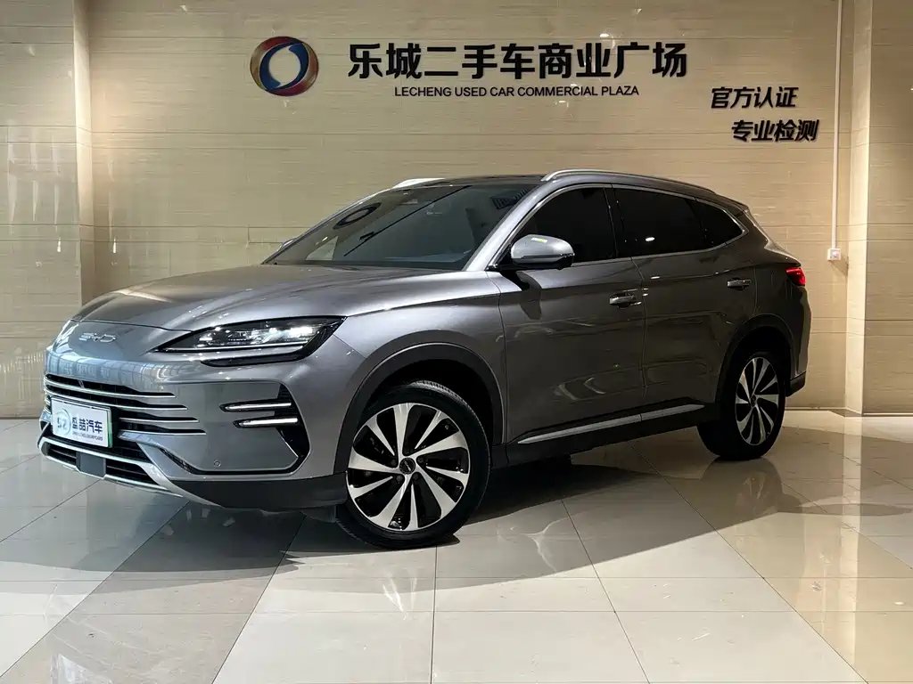 BYD PLUS New Energy 2024
