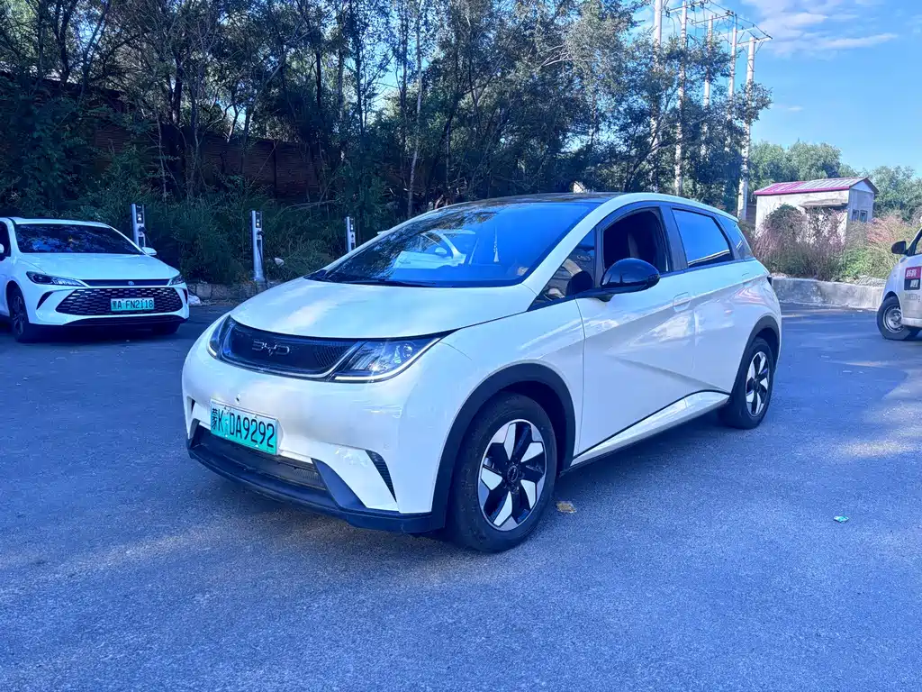 BYD Dolphin 2024