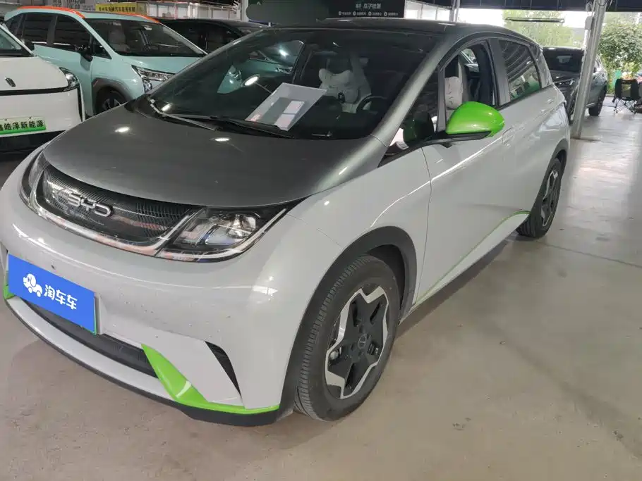 BYD Dolphin 2022