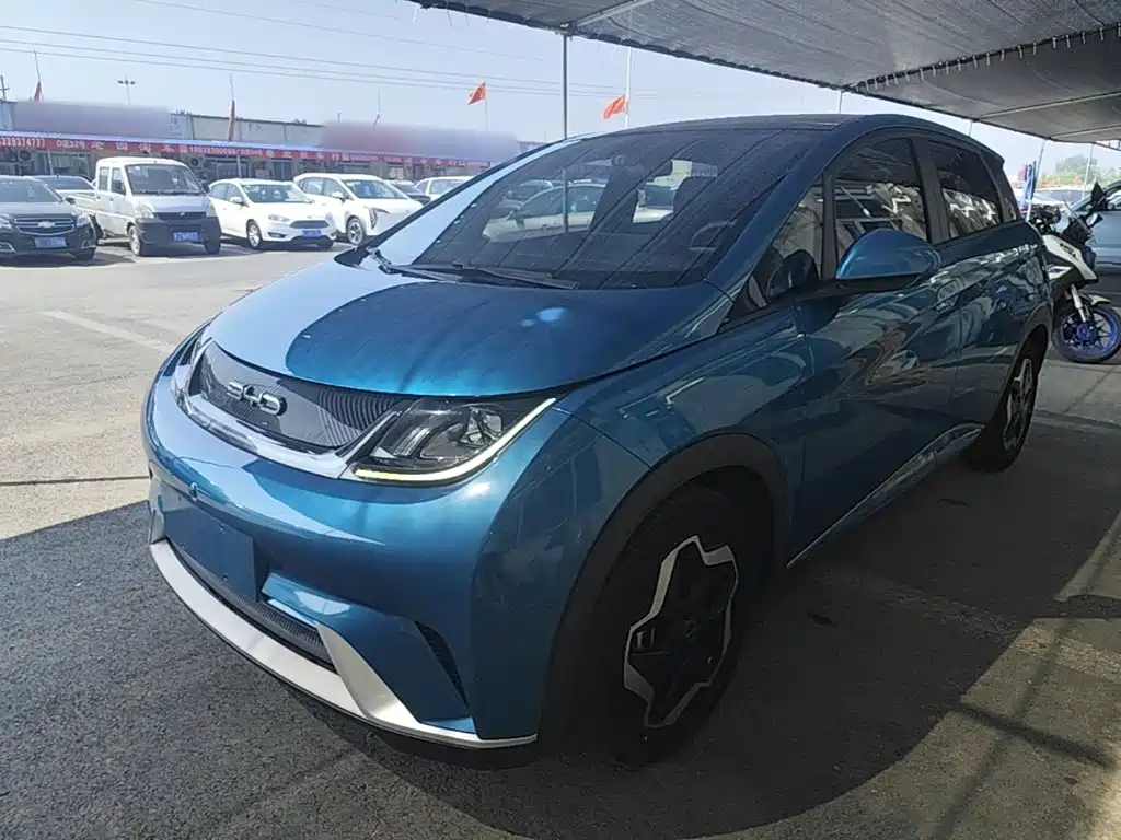 BYD Dolphin 2022