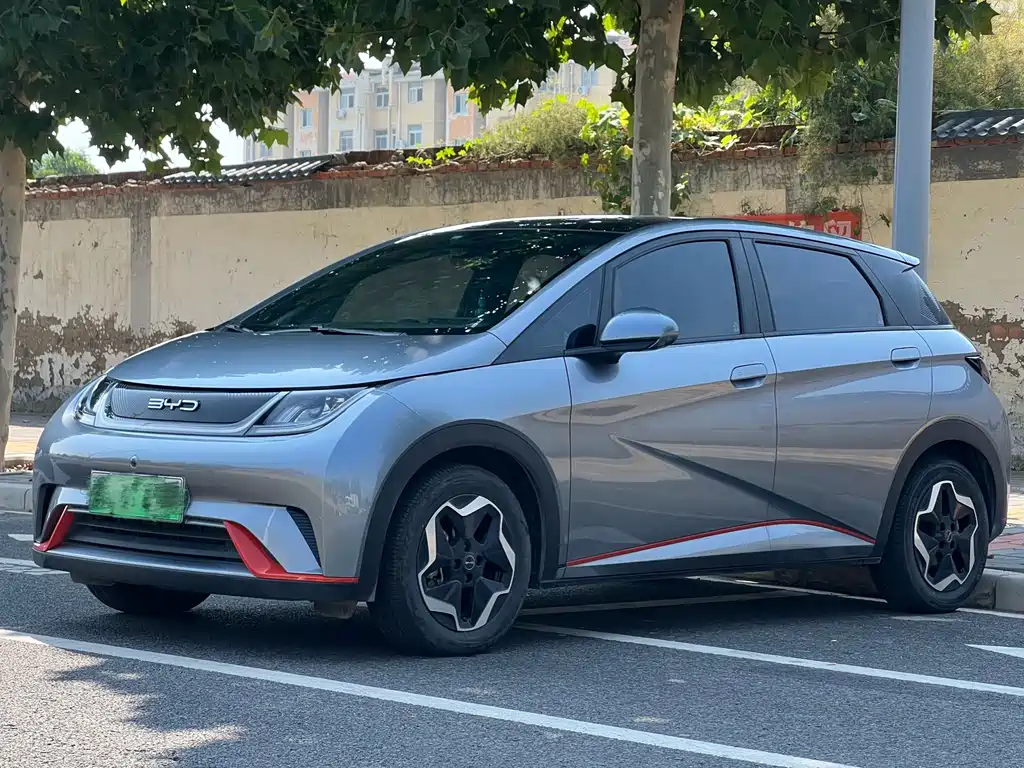 BYD Dolphin 2022