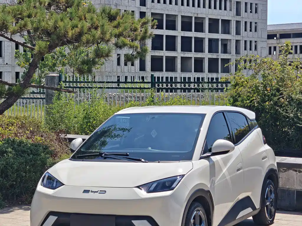 BYD Dolphin 2022