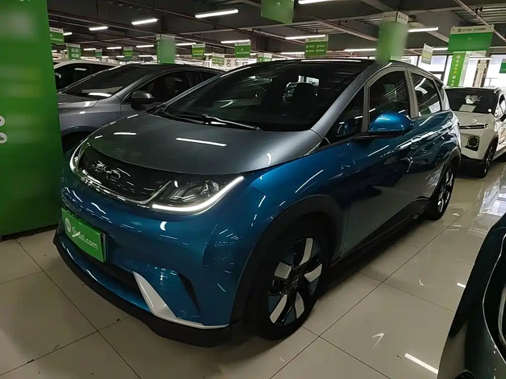 BYD Dolphin 2022