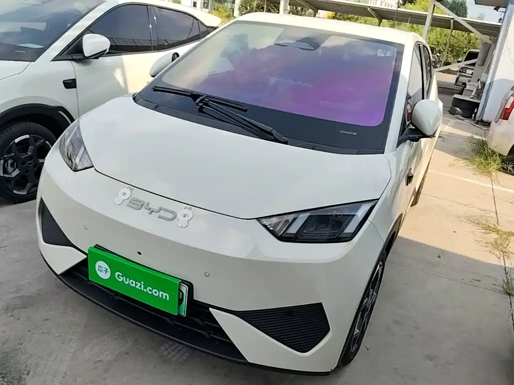 BYD Seagull 2025