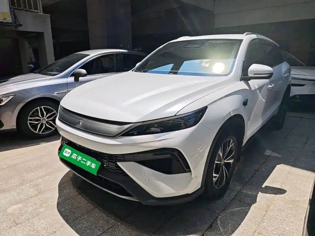 BYD Pro New Energy 2025