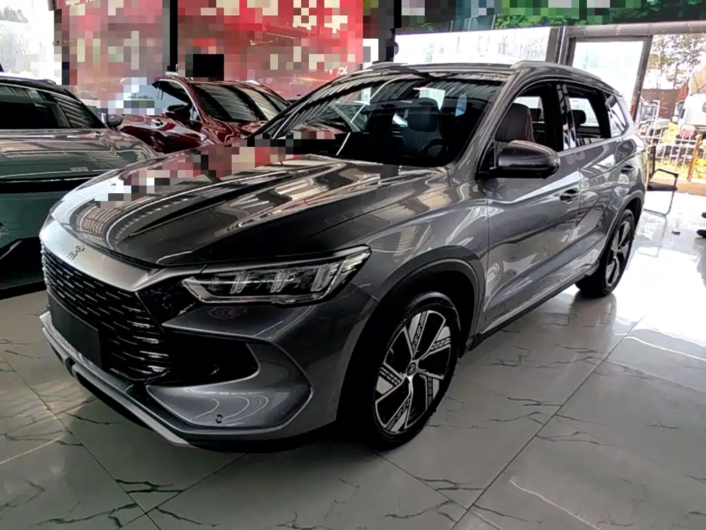 BYD Pro New Energy 2024