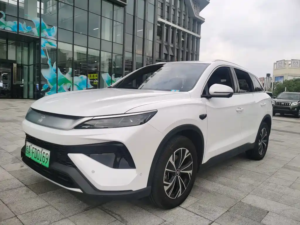 BYD Pro New Energy 2025