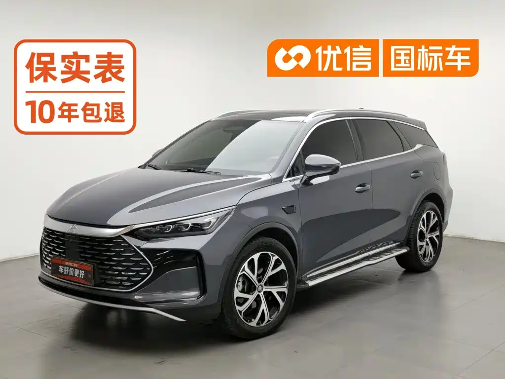 BYD Tang New Energy 2025
