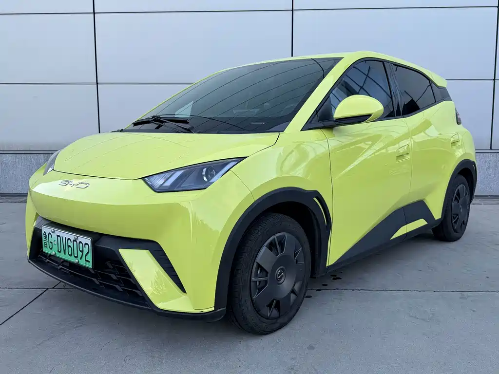BYD Seagull 2024