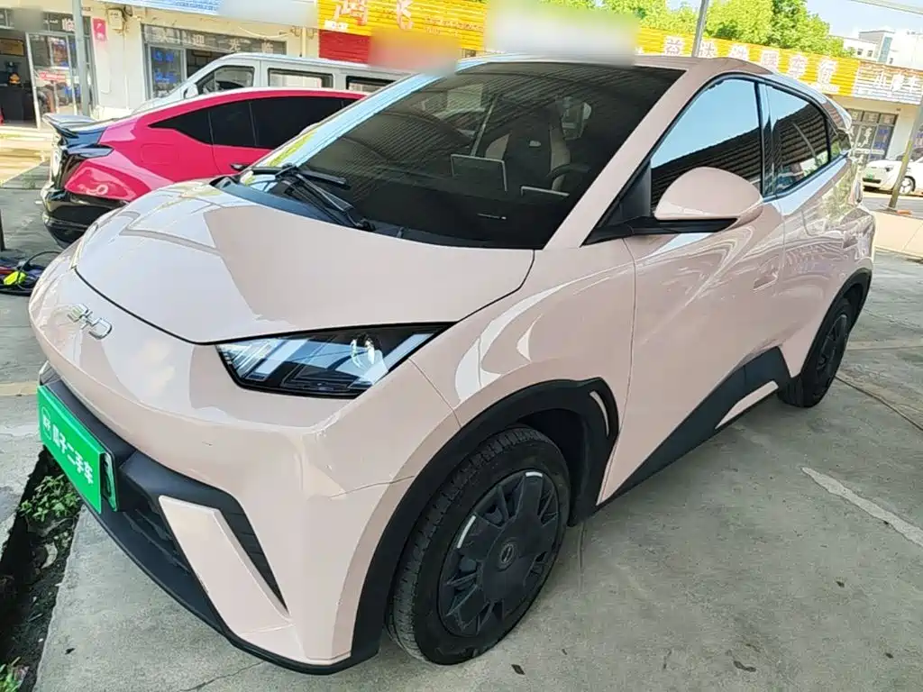 BYD Seagull 2024