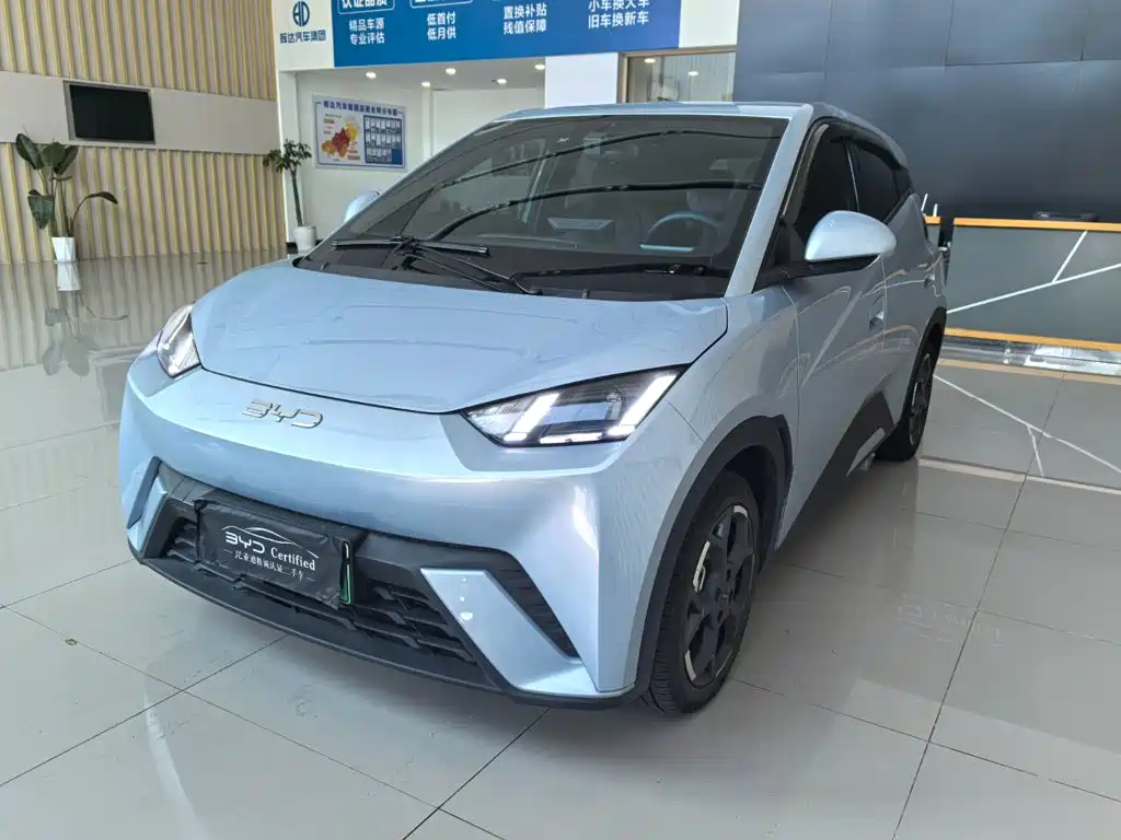 BYD Seagull 2024