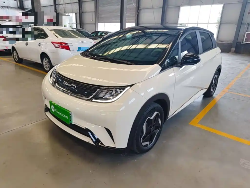 BYD Dolphin 2022