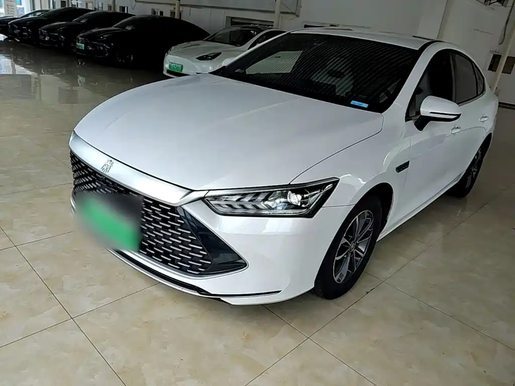 BYD Qin PLUS 2024