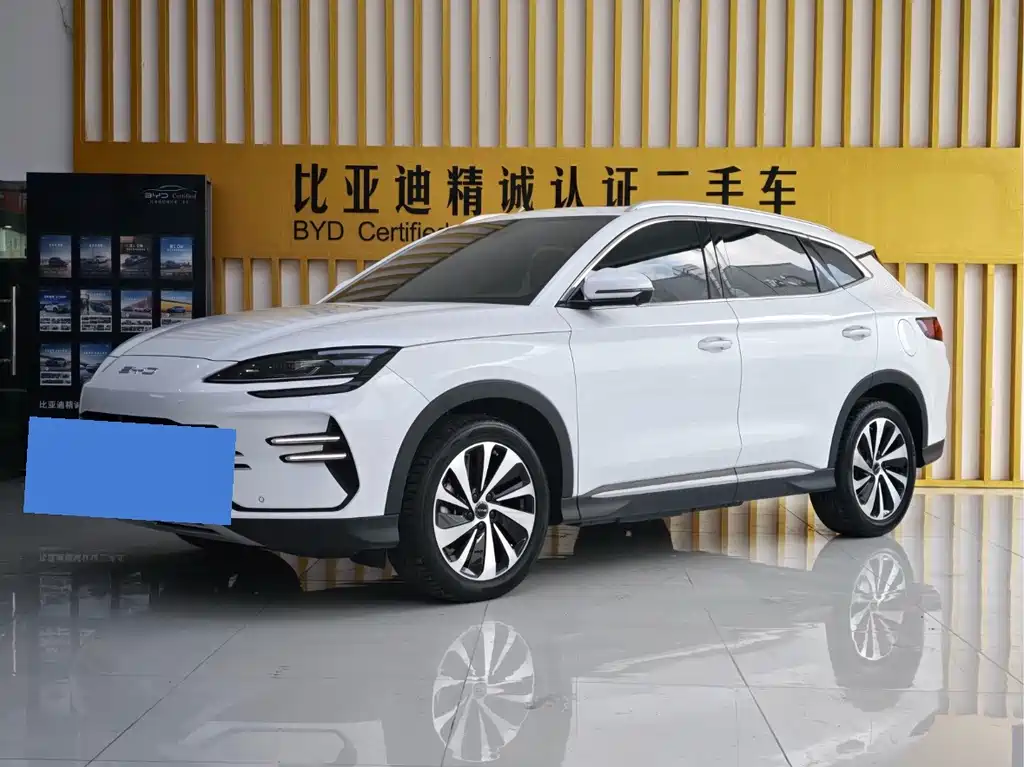 BYD PLUS New Energy 2024