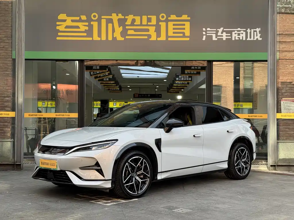 BYD L EV 2024