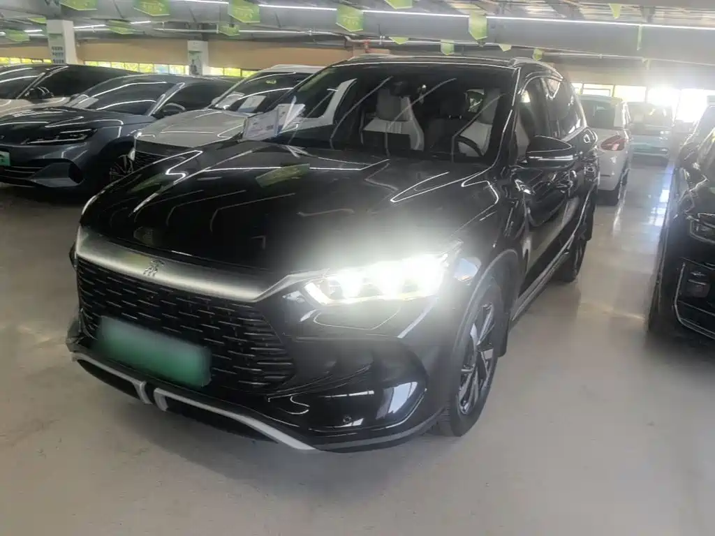 BYD Pro New Energy 2024