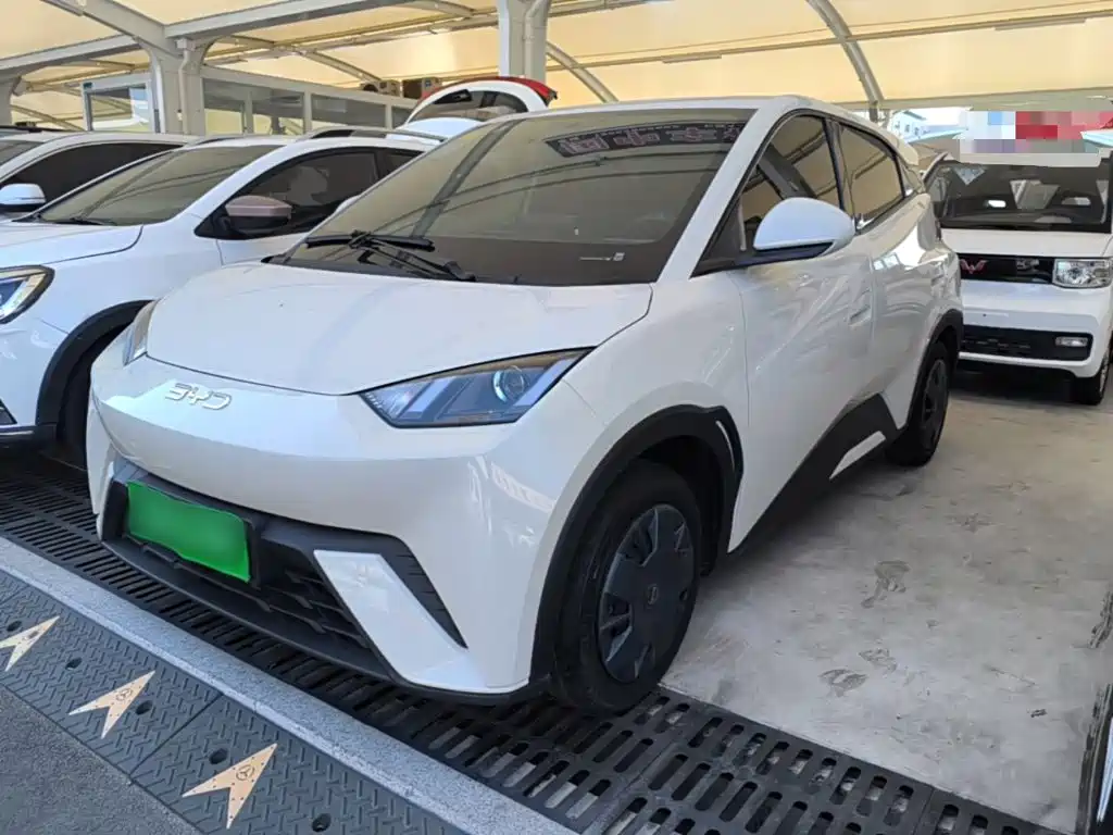 BYD Seagull 2024