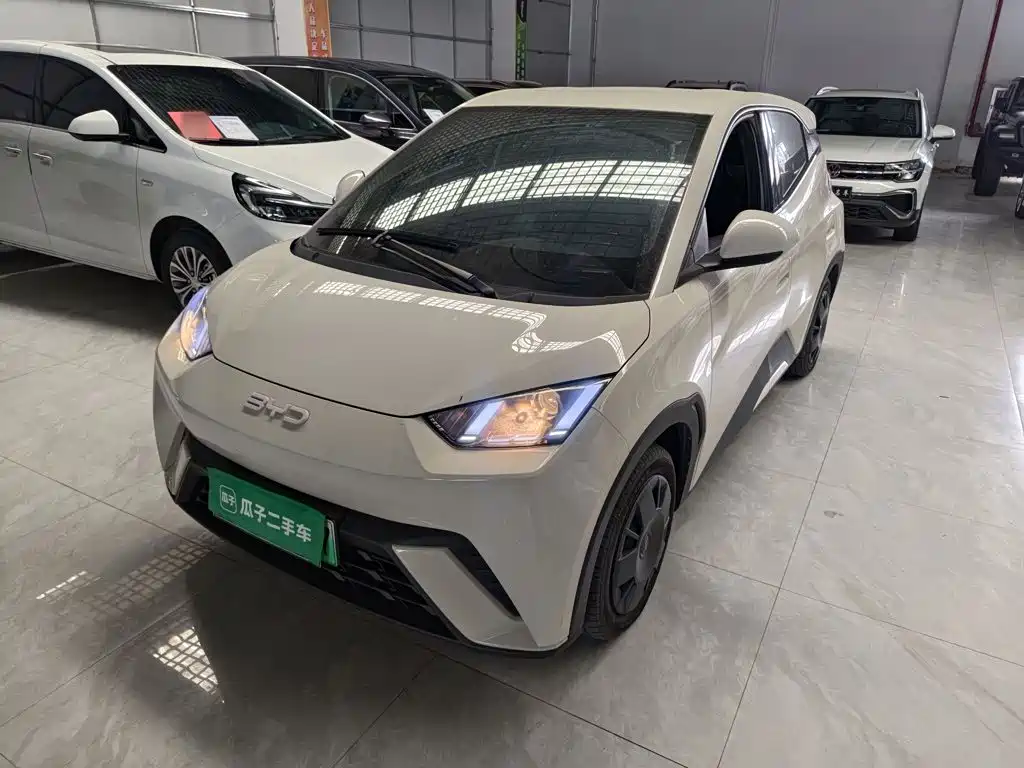 BYD Seagull 2024