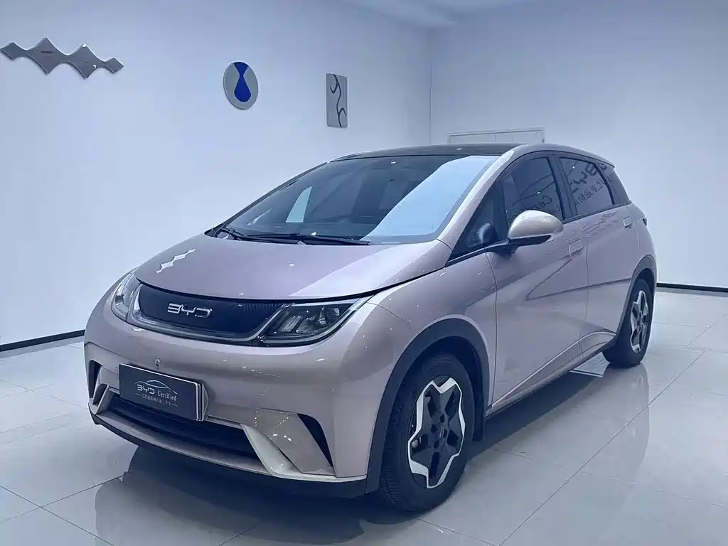 BYD Dolphin 2022