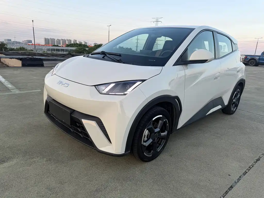 BYD Seagull 2024