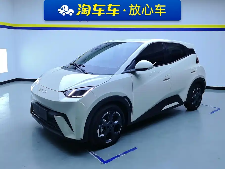 BYD Seagull 2024