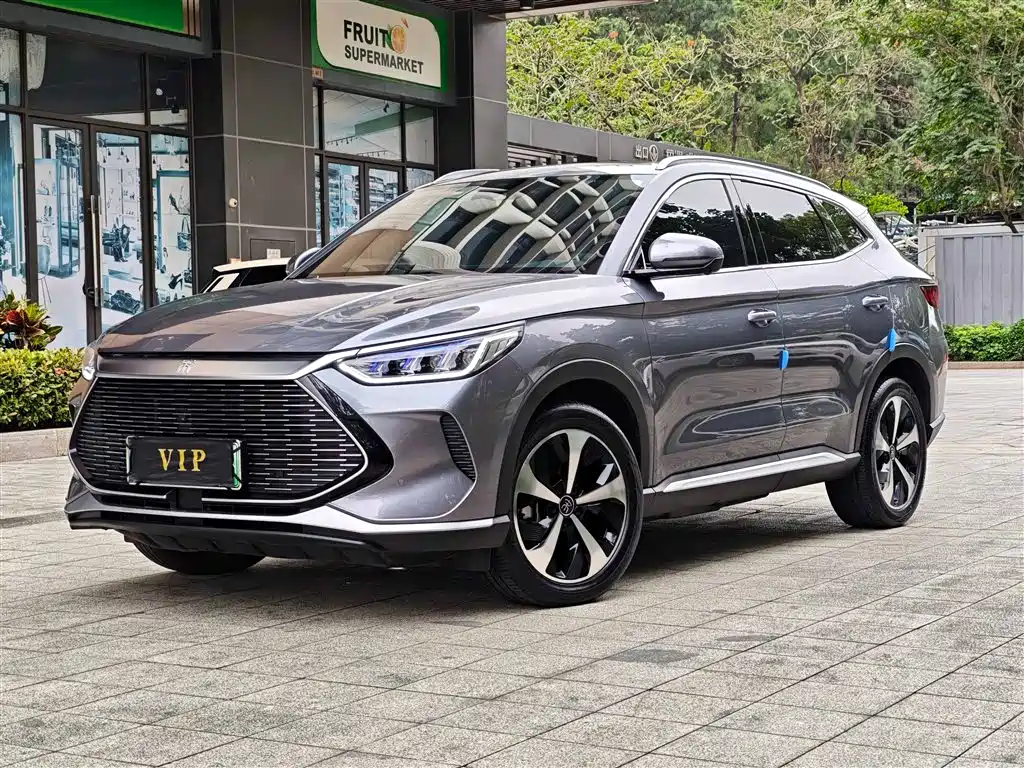 BYD PLUS New Energy 2022