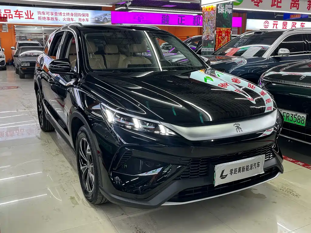 BYD Pro New Energy 2024