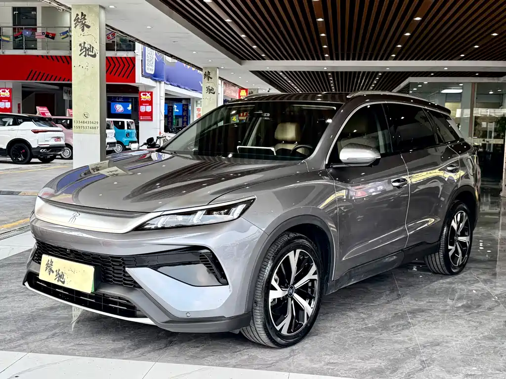 BYD Pro New Energy 2025