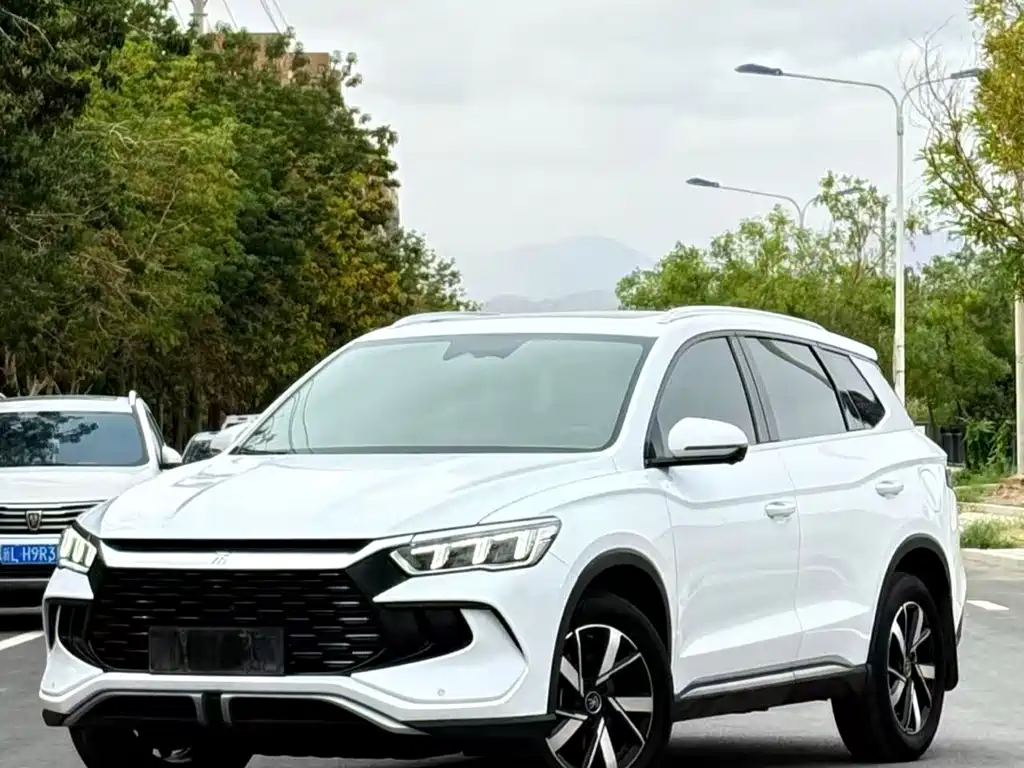 BYD Pro New Energy 2024